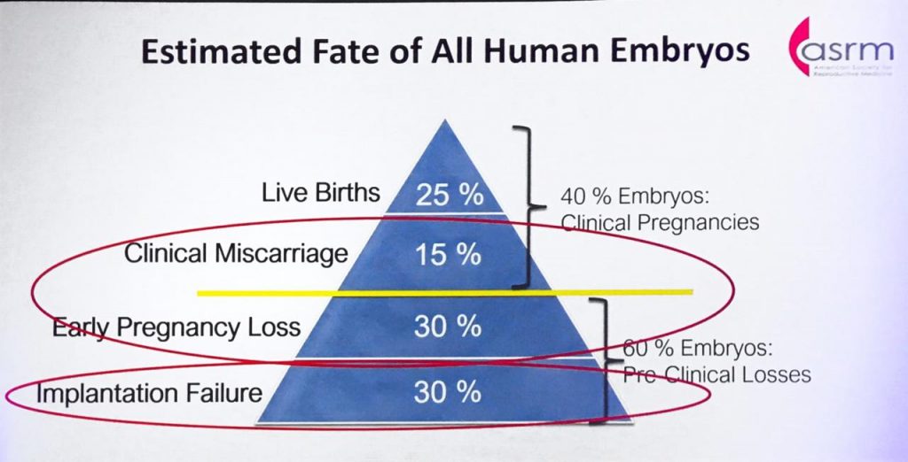 fertilidade humana