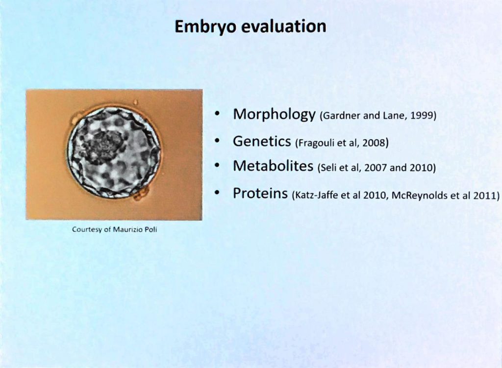 evolução do embrião