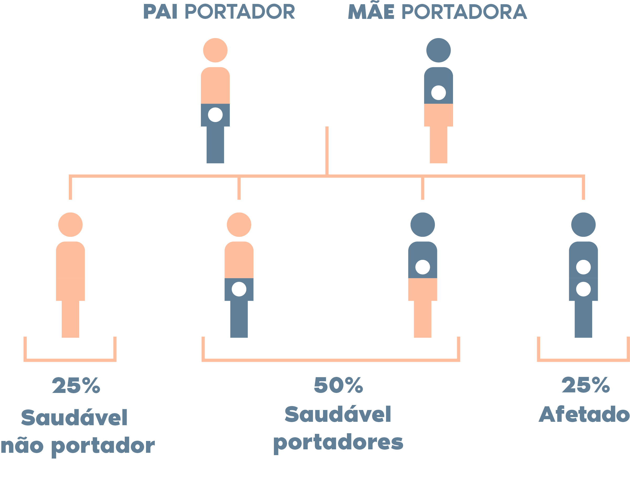 compatibilidade genética