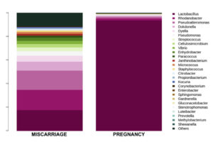 microbioma gravidez e aborto