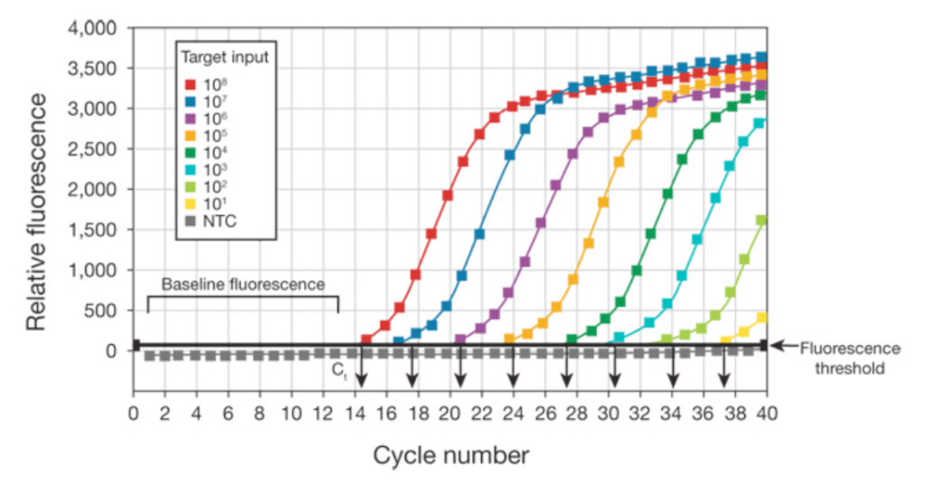 PCR para covid-19