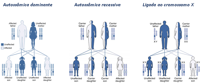 tipo de herança genética