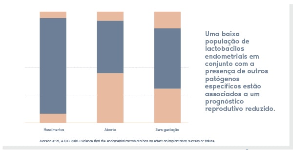 Teste EMMA resultados