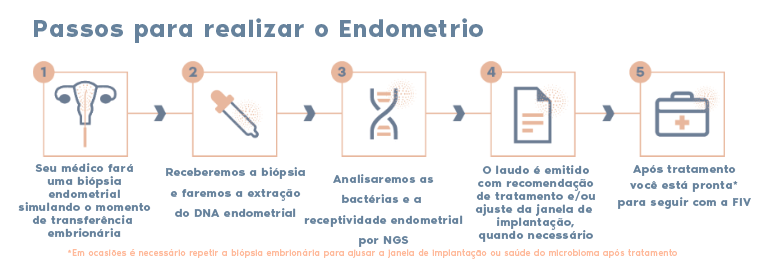 passo a passo endometrio