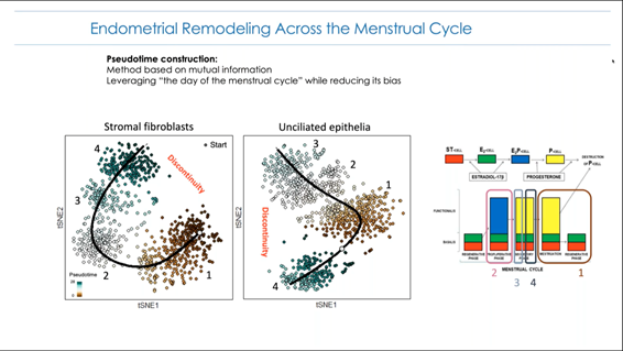 ciclos menstrual transcriptomico