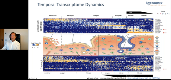 assinatura transcriptomica do ciclo menstural