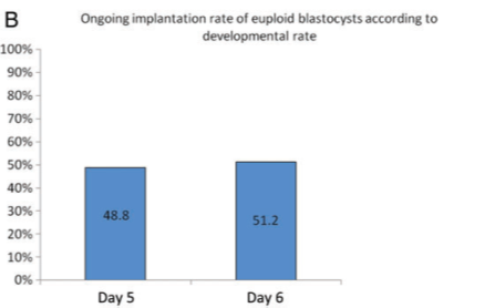 implantação embrião dia 5 e 6