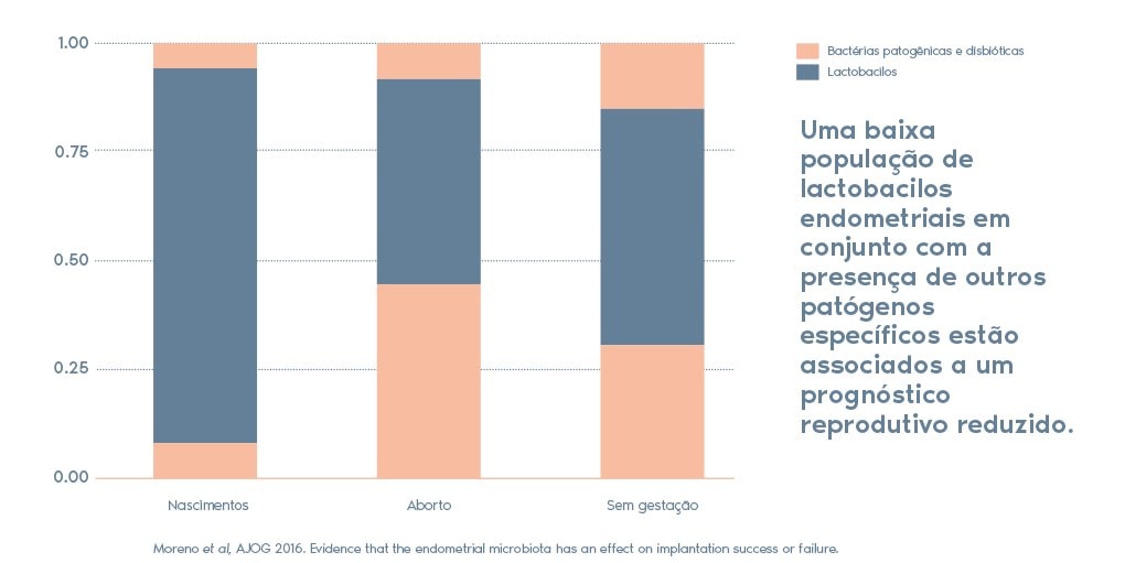 Endometrite: como é feito o tratamento