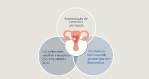 Implantação Embrionária