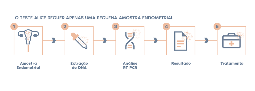 protocolo teste ALICE, endometrite cronica