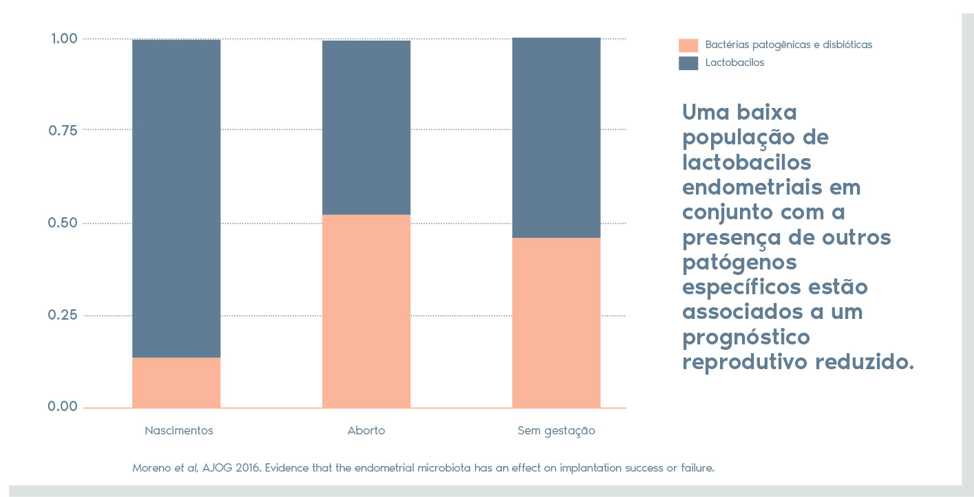 flora bacteriana do interior do útero, no endométrio