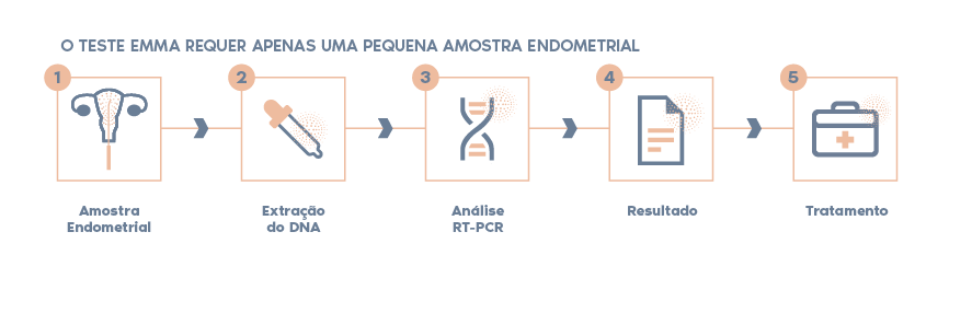 protocolo EMMA, microbioma endometrial