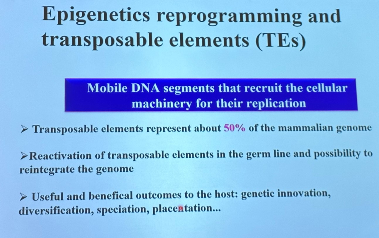 epigenetica e formação de gametas