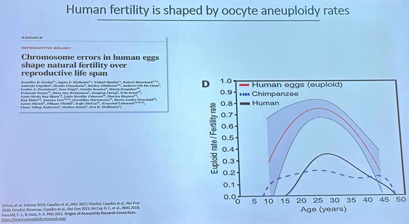 fertilidade feminina por idade