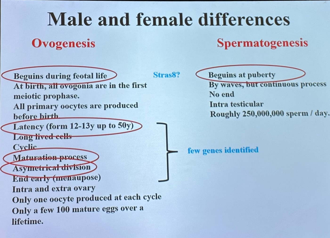 diferenças entre gametas homem e mulher ESHRE