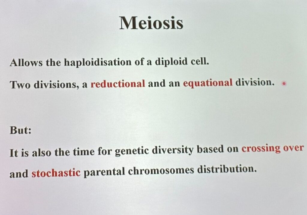 meiose reprodução humana