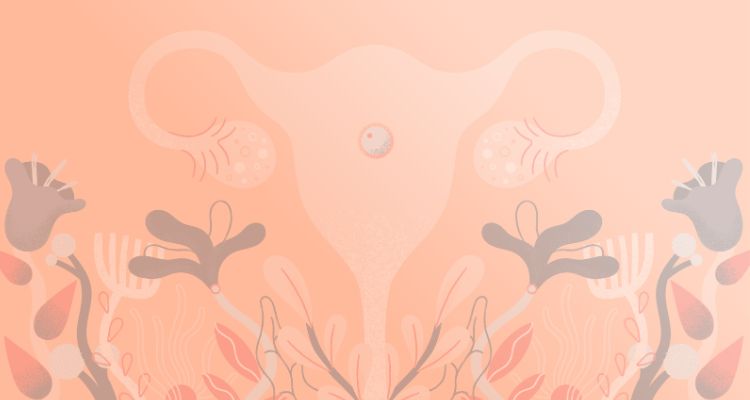 microbioma endometrial