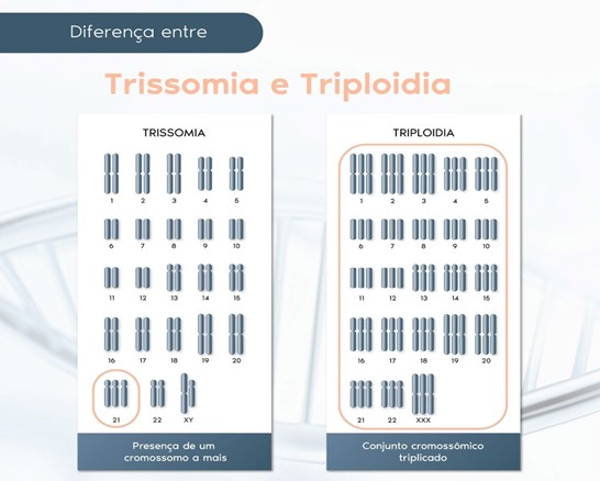 Trissomia e Triploidia